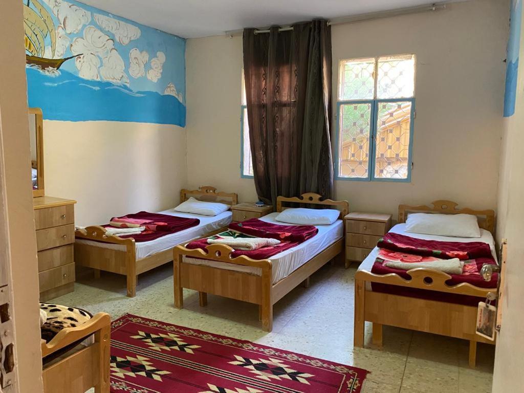 Dana Moon Hostel Room photo